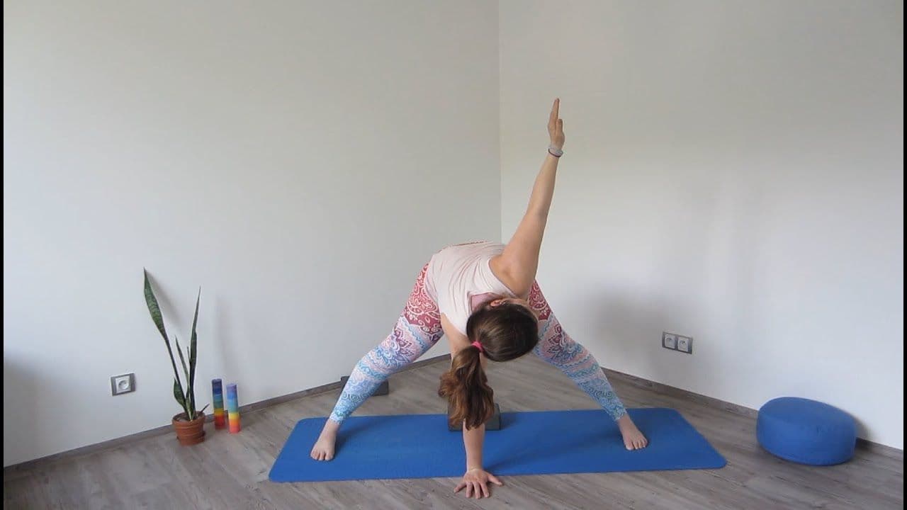 Hatha flow yoga - rotace